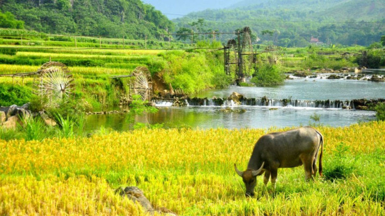 Discovery Pu Luong Thanh Hoa 3 Days 2 Nights
